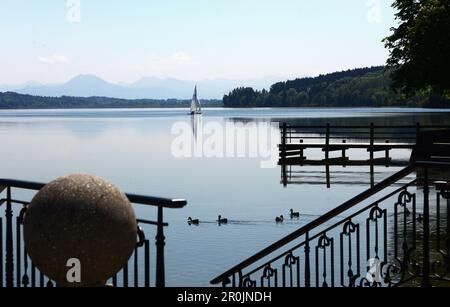 Waginger See in der Nähe von Waging in Altsalzburger, Chiemgau, Oberbayern, Bayern, Deutschland Stockfoto