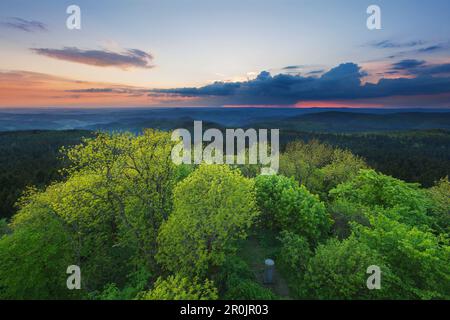 Blick von Hohe Acht, in der Nähe von Adenau, Eifel, Rheinland-Pfalz, Deutschland Stockfoto