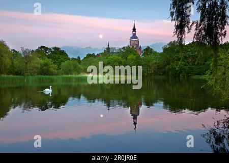 Blick über den Knieperteich, Marienkirche, Stralsund, Ostsee, Mecklenburg-Vorpommern, Deutschland Stockfoto