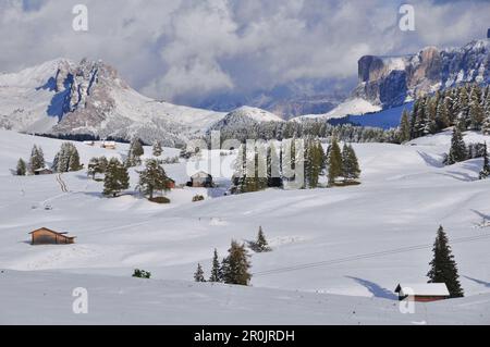 Schnee im frühen Winter in der Seiser Alm mit Santnerspitze und Schlern mit Rosszähnen, Seiser Alm, Alpe di Siusi, Sciliar, Naturpark Schlern-Rosengarten Stockfoto