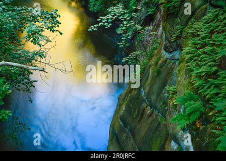 Reflexionen und Steine im Fluss Bode im Bode Valley (Bodetal), Wanderweg Harzer Hexen Stieg von Thale nach Treseburg, Harz Foreland, Harz Mountains, Stockfoto