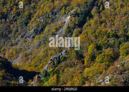 Blick von Prinzensicht in der Nähe des Hexentanzplatzes, auf Felsen, Klippen und farbenfrohe Bäume im Herbst, Bode Valley, Thale, Harz Foreland, Stockfoto