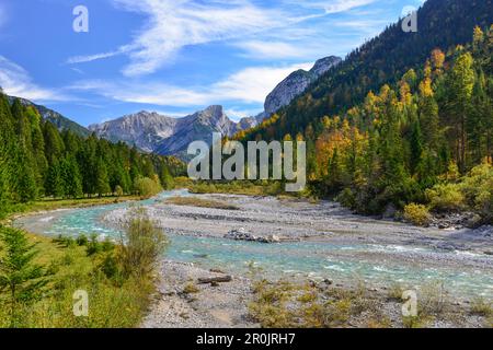 Herbstfarben am Rißbach mit Blick auf Laliderer Wände, den Großen Ahornboden, Hinterriß, das Engtal, die nördlichen kalksteinalpen, Karwendelgebirge Stockfoto