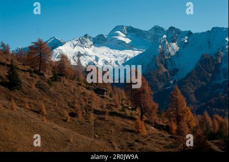 Blick vom Schmirntal auf den Olperer, die Tux-Alpen, Tirol, Österreich Stockfoto