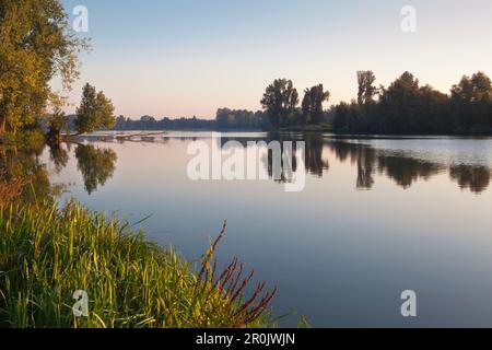 Birtener Altrhein, alte Arm der Rhein, in der Nähe von Xanten, Niederrhein, Nordrhein-Westfalen, Deutschland Stockfoto