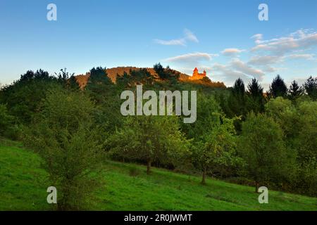 Burg Berwartstein, in der Nähe von Erlenbach, Dahner Felsenland, Pfälzer Wald, Rheinland-Pfalz, Deutschland Stockfoto