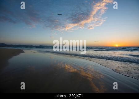 Spiegelung der Wolken, Playa de Sotavento, zwischen Jandia und Costa Calma, Fuerteventura, Kanarischen Inseln, Spanien Stockfoto