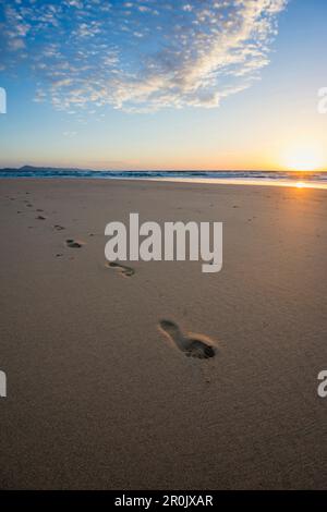 Playa de Sotavento, zwischen Jandia Und Costa Calma, Fuerteventura, Kanarische Inseln, Spanien Stockfoto