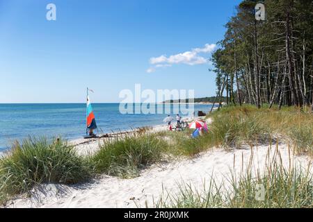 Familie am Strand, Traumstrand zwischen Strandmarken und Dueodde, Sandstrand, Sommer, Ostsee, Bornholm, Strandmarken, Dänemark, Europa Stockfoto