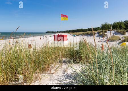 Balka Strand, beliebte Bucht mit Sandstrand, Sommer, Ostsee, Bornholm, in der Nähe der Snogebæk, Dänemark, Europa Stockfoto