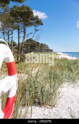 Lifebuoy am Strand, Traumstrand zwischen Strandmarken und Dueodde, Sandstrand, Sommer, Ostsee, Bornholm, Strandmarken, Dänemark, Europa Stockfoto