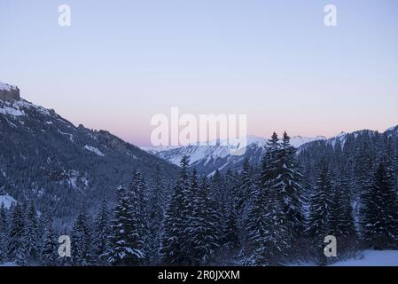 Winterlich schneebedeckte Landschaft im Kleinwalser-Tal in Vorarlberg zur Blue Hour, Vorarlberg, Österreich Stockfoto