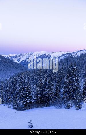 Winterlich schneebedeckte Landschaft im Kleinwalser-Tal in Vorarlberg zur Blue Hour, Vorarlberg, Österreich Stockfoto