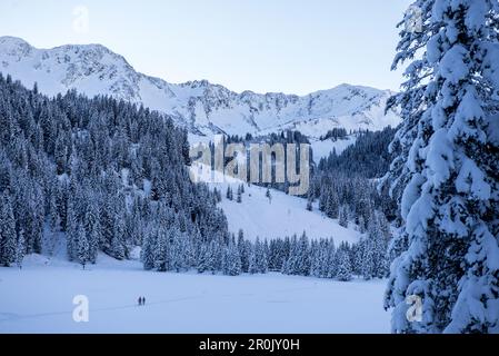 Wandern Sie durch das winterlich schneebedeckte Kleinwalser-Tal in Vorarlberg zur Blue Hour, Vorarlberg, Österreich Stockfoto