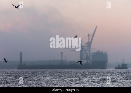 "Elbschiffe im Hafenbezirk 'kleiner Grasbrook' kurz vor Sonnenaufgang, Hamburger Hafen, Hamburg, Deutschland" Stockfoto