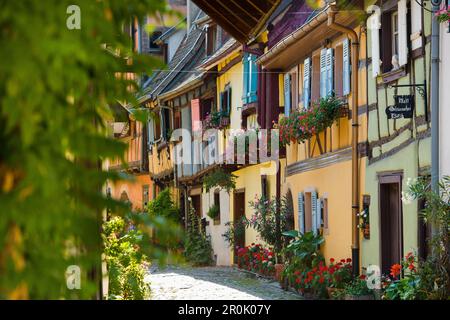 Gasse mit bunten Fachwerkhäusern geschmückt mit Blumen, Eguisheim, Elsass, Frankreich Stockfoto