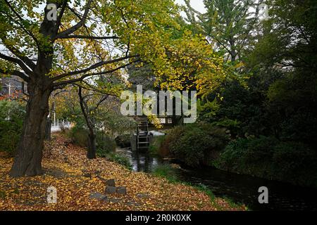 Avon River und Herbstlaub entlang der Oxford Terrace im Zentrum von Christchurch, Neuseeland Stockfoto