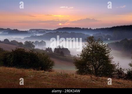 Morgennebel, Eifelsteig Wanderweg, Eifel, Rheinland-Pfalz, Deutschland Stockfoto