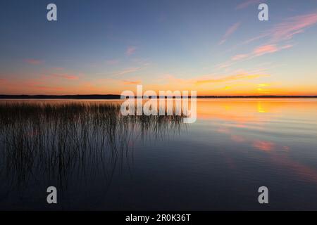 Sonnenuntergang am Schweriner See, Mecklenburgische Seenplatte, Mecklenburg-Vorpommern, Deutschland Stockfoto