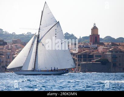 "Classic Sailing Regatta" Les Voiles de St. Tropez', St. Tropez, Côte d'Azur, Frankreich' Stockfoto