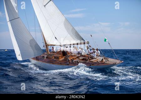 '12m Yacht ''Emilia'', Design von Attilio Costaguta 1930, klassische Segelregatta ''Les Voiles de St. Tropez', St. Tropez, Côte d'Azur, Frankreich' Stockfoto