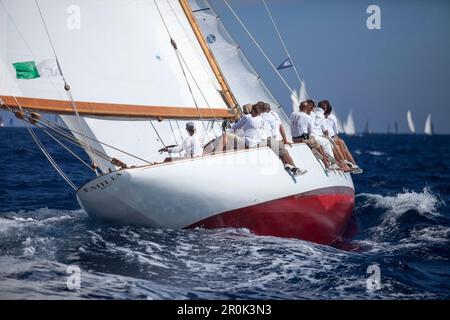 '12m Yacht ''Emilia'', Design von Attilio Costaguta 1930, klassische Segelregatta ''Les Voiles de St. Tropez', St. Tropez, Côte d'Azur, Frankreich' Stockfoto