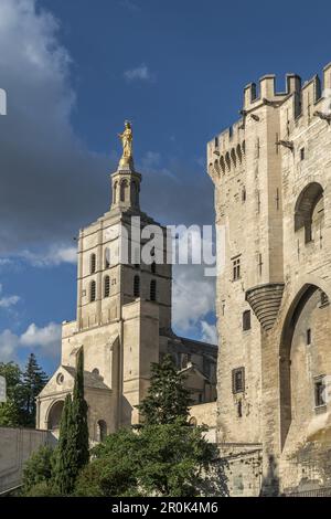 Palais Des Papes, Avignon, Bouche du Rhone, Frankreich Stockfoto