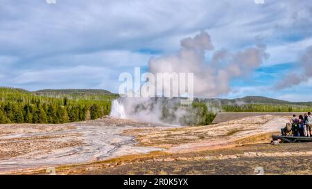 Im Yellowstone-Nationalpark beginnt Old Faithful mit aufsteigendem Wasser und Dampf, während Touristen von einer Aussichtsplattform an der Seite zusehen. Stockfoto