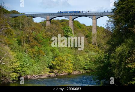 Narrowboat überquert das Pontcysyllte Aquädukt entlang des Llangollen Canal über den Fluss Dee in Wales, Großbritannien Stockfoto