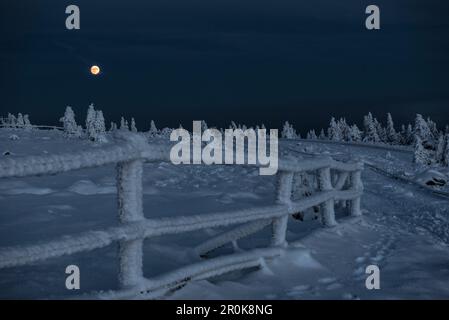 Vollmond hinter einem gefrorenen Zaun, Winterlandschaft, Schierke, Brocken, Nationalpark Harz, Sachsen, Deutschland Stockfoto