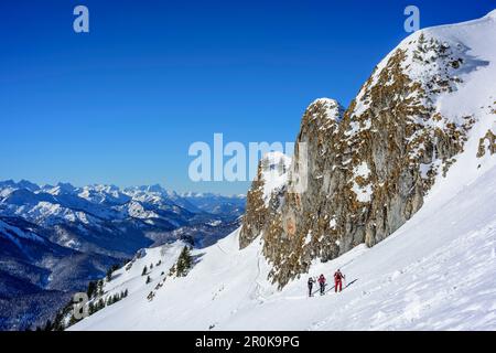 Drei Personen Backcountry Skiing aufwärts unter Felsgesicht Twa, Bayerische Alpen im Hintergrund, Rotwand, Spitzing, Bayerische Alpen, Oberbayern, Bavari Stockfoto