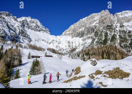 Mehrere Personen auf dem Hinterland-Skigebiet in Richtung Forcella Lavinal dell' Orso, Julian Alps, Friaul, Italien Stockfoto