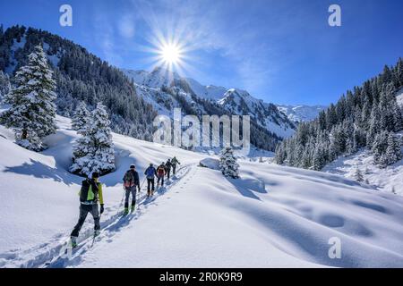 Mehrere Personen fahren auf dem Hinterland Ski durch das Tal Frommgrund, Frommgrund, Kitzbühel Alpen, Tirol, Österreich Stockfoto