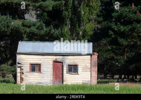 Alte, verlassene Hütte, Middlemarch, Maniototo, Otago, Südinsel, Neuseeland Stockfoto