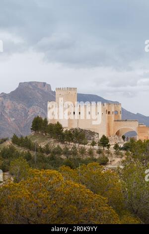 Castillo de Velez-Blanco, Castillo de los Fajardos, 16. Century Castle, Renaissance, Velez-Blanco, Provinz Almeria, Andalusien, Spanien, Europa Stockfoto