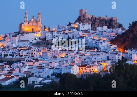 Castillo, arabisches Schloss, Kirche, Olvera, Pueblo Blanco, Weißes Dorf, Provinz Cadiz, Andalusien, Spanien, Europa Stockfoto