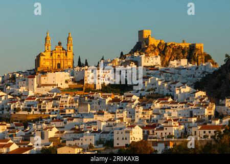 Castillo, arabisches Schloss, Kirche, Olvera, Pueblo Blanco, Weißes Dorf, Provinz Cadiz, Andalusien, Spanien, Europa Stockfoto