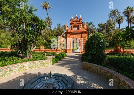 Tor mit Palmen, Jardin Marques de la Vega Inclan, Jardines del Real Alcazar, Garten des Königspalastes, UNESCO-Weltkulturerbe, Sevilla, Anda Stockfoto