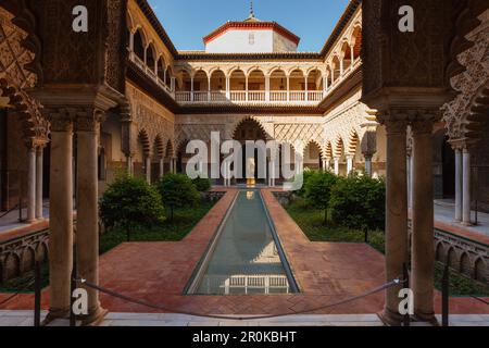 Patio de las Doncellas, Palacio del Rey Don Pedro, Real Alcazar, Königspalast, Mudejar-Architektur, UNESCO-Weltkulturerbe, Sevilla, Andalusien, Stockfoto