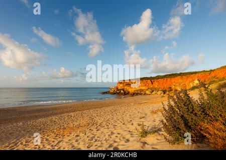 Cala del Aceite, Bucht und Strand in der Nähe von Conil, Costa de la Luz, Provinz Cadiz, Andalusien, Spanien, Europa Stockfoto