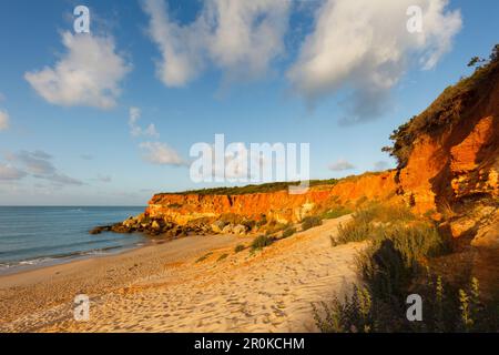 Cala del Aceite, Bucht und Strand in der Nähe von Conil, Costa de la Luz, Provinz Cadiz, Andalusien, Spanien, Europa Stockfoto