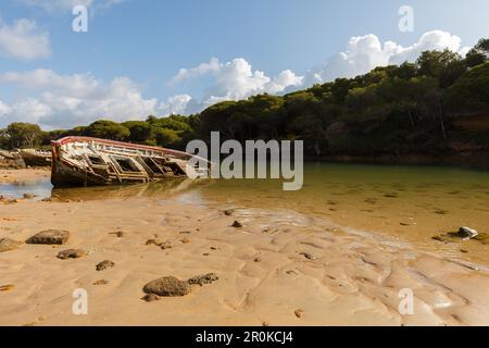 Schiffswrck, puerto pequero, Fischereihafen, Cabo de Roche, in der Nähe von Conil, Costa de la Luz, Atlantik, Provinz Cadiz, Andalusien, Spanien, Europa Stockfoto