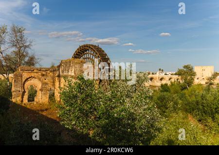 Noria, historisches Wasserrad zur Bewässerung des Schlossgartens, Puente Romano, Brücke, historisches Zentrum von Cordoba, UNESCO-Weltkulturerbe, Rio Guadal Stockfoto