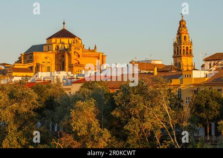 La Mezquita, Mezquita-Kathedrale, Moschee und Kathedrale, historisches Zentrum von Cordoba, UNESCO-Weltkulturerbe, Cordoba, Andalusien, Spanien, Europa Stockfoto