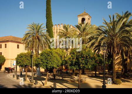 Pferdekutsche mit Orangenbäumen und Palmen, Alcazar de los Reyes Cristianos, königliche Residenz, historisches Zentrum von Cordoba, UNESCO World her Stockfoto