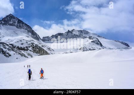 Mehrere Personen auf dem Gletscher Adamello, Gletscher Adamello, Adamello Gruppe, Trentino, Italien Stockfoto