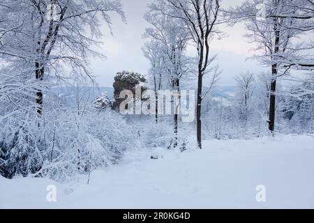 Blick auf Bornstein Rock, Rock Formation "Bruchhauser Steine", in der Nähe von Olsberg, Rothaarsteig, Rothaargebirge, Sauerland,Rhine-We Stockfoto