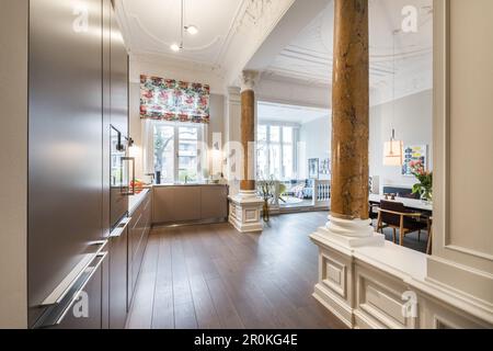 Küche und Wohnbereich in einem modern eingerichteten Jugendstil Wohnung in Hamburg,Deutschland, Europa Stockfoto