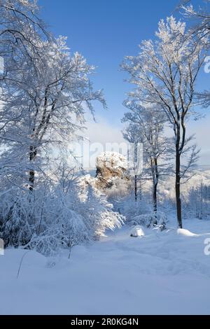 Blick auf Bornstein Rock, Rock Formation "Bruchhauser Steine", in der Nähe von Olsberg, Rothaarsteig, Rothaargebirge, Sauerland,Rhine-We Stockfoto