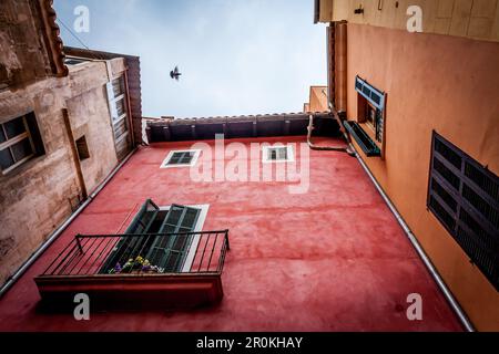 Taubenflug zwischen den Häusern, in der Gegend La Lonja, historisches Stadtzentrum, Ciutat Antiga, Palma de Mallorca, Mallorca, Balearen, Medite Stockfoto